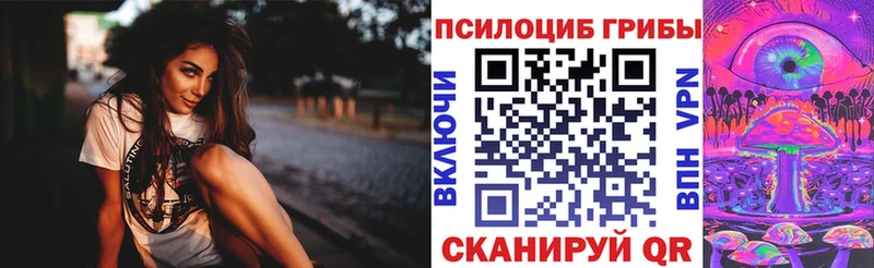 Псилоцибиновые грибы Psilocybe  Качканар 